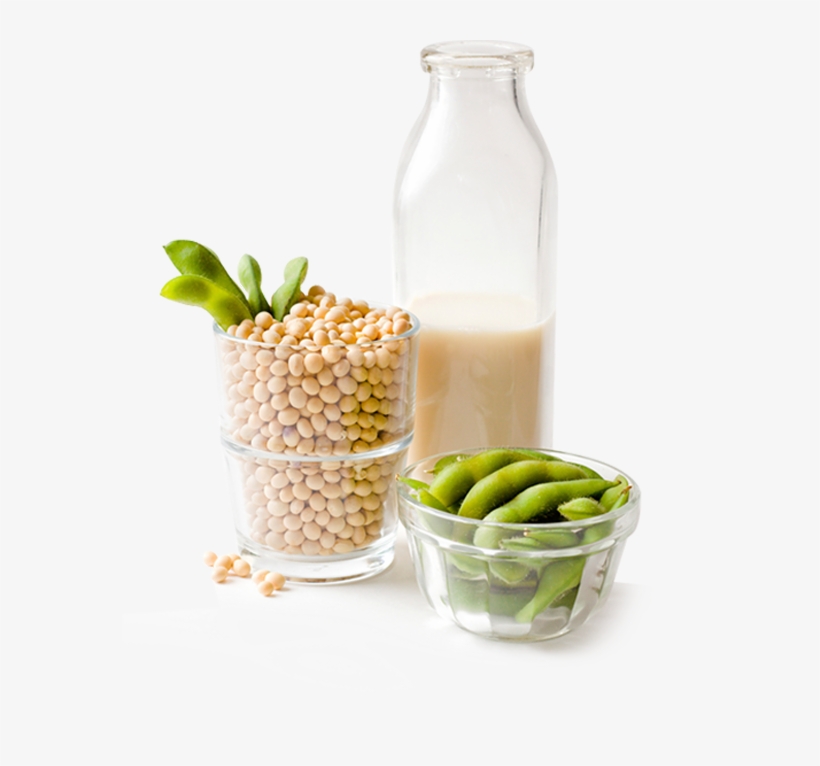 Beso Bio Research, Inc - Fermentation, transparent png download