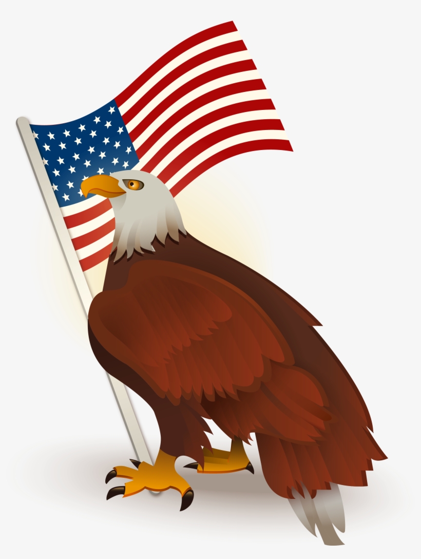 Bald Of The Clip Art - American Bald Eagle Png, transparent png download