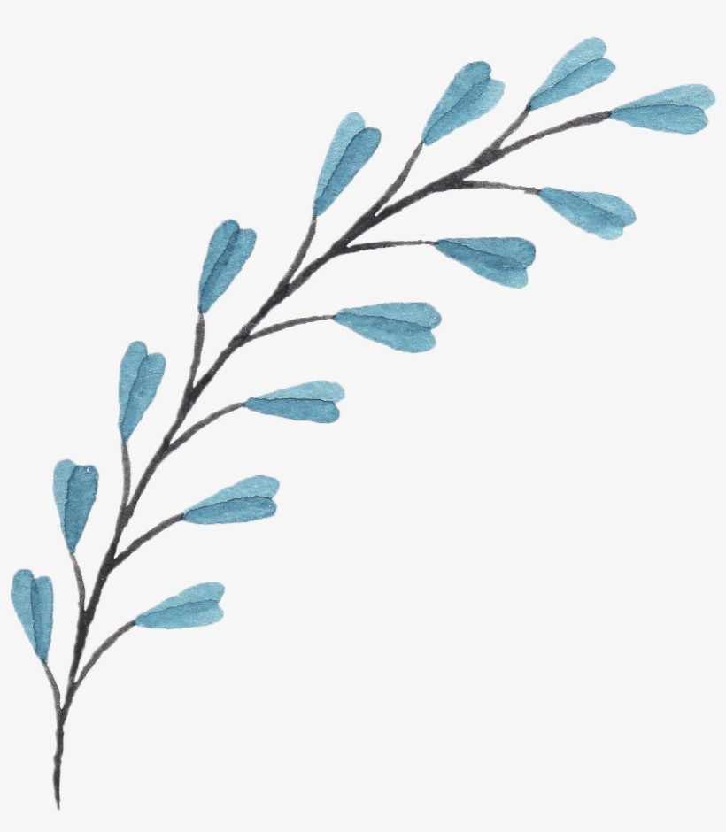 Bouquet Of Flowers Png - Branches And Flowers Drawing, transparent png download