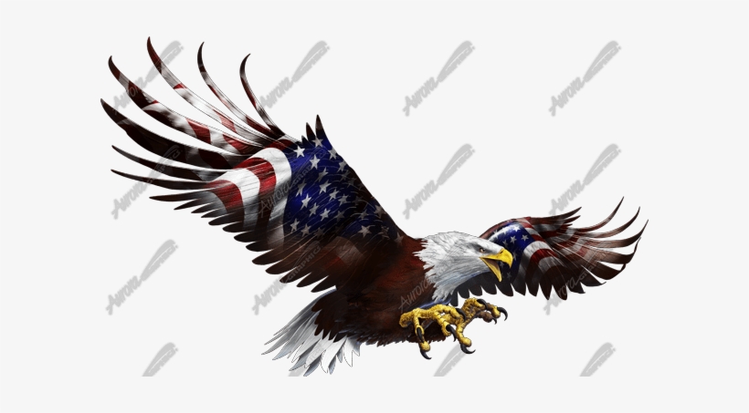 American Eagle Flight Side - American Eagle Flag Truck Semi Rv Trailer Wall Window, transparent png download