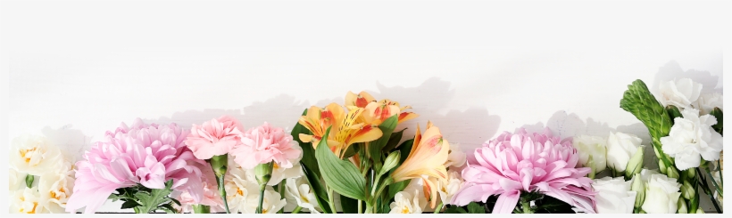 View Signature Collection - Bottom Flower Design, transparent png download