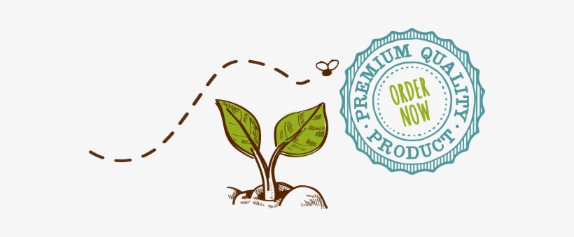 Home Order Now - Cumberlows, transparent png download