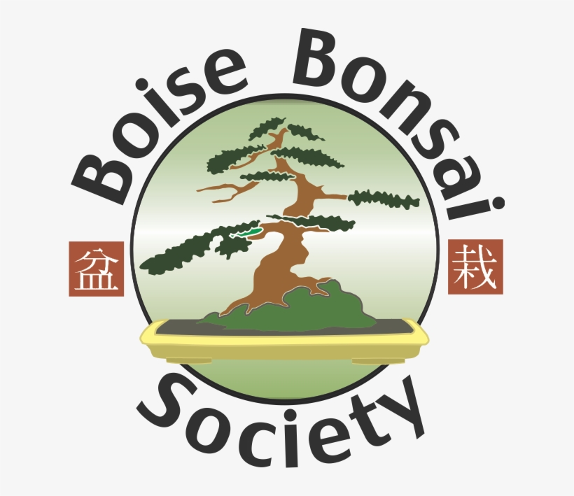Bonsai Clipart Ancient Tree - Boise Bonsai Society, transparent png download