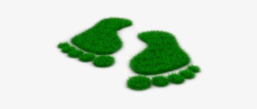 Happy Feet - My Revision Notes: Edexcel Gcse Religious Studies Religion, transparent png download