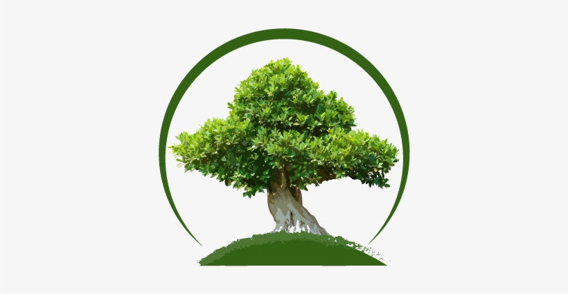 Transparent Tree - Sageretia Theezans, transparent png download