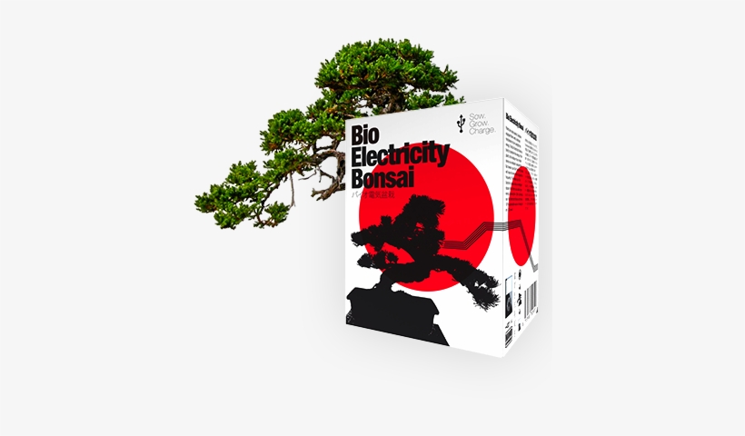 Ultimate Guide In Creating Your Very Own Bonsai By, transparent png download