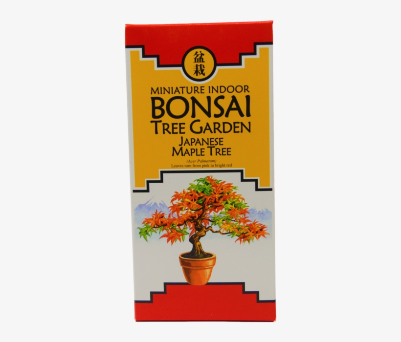 Bonsai Tree Garden Diy Grow Kit With Japanese Maple - Gardening, transparent png download