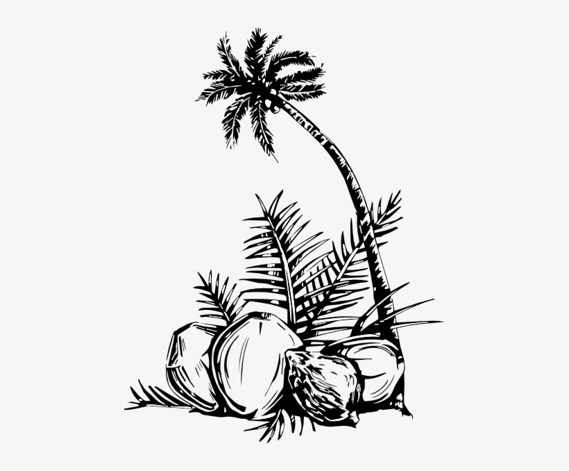 Coconut Tree Art Png, transparent png download