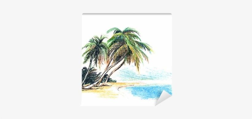 Drawing Beach With Palm Trees Dessin De Palmier Sur La Plage Transparent Png 400x400 Free Download On Nicepng Drawing Beach With Palm Trees Dessin De Palmier Sur La Plage Transparent Png 400x400 Free Download On Nicepng