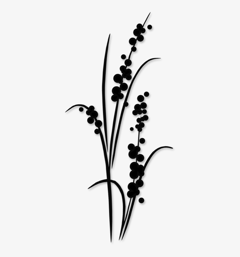 Flower Silhouettes Art & Islamic Graphics Bird Silhouette - Tall Flowers Silhouette, transparent png download