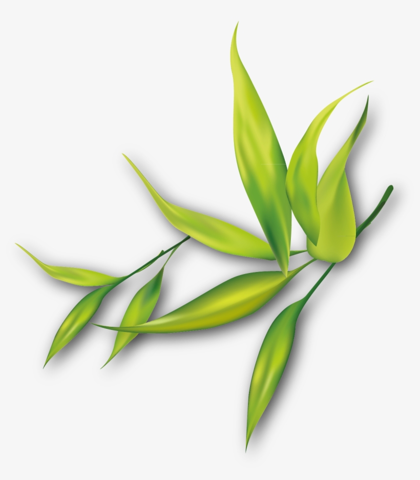 Painting Clip Art Transprent Png Free - Flower Border For Bulletin Board, transparent png download