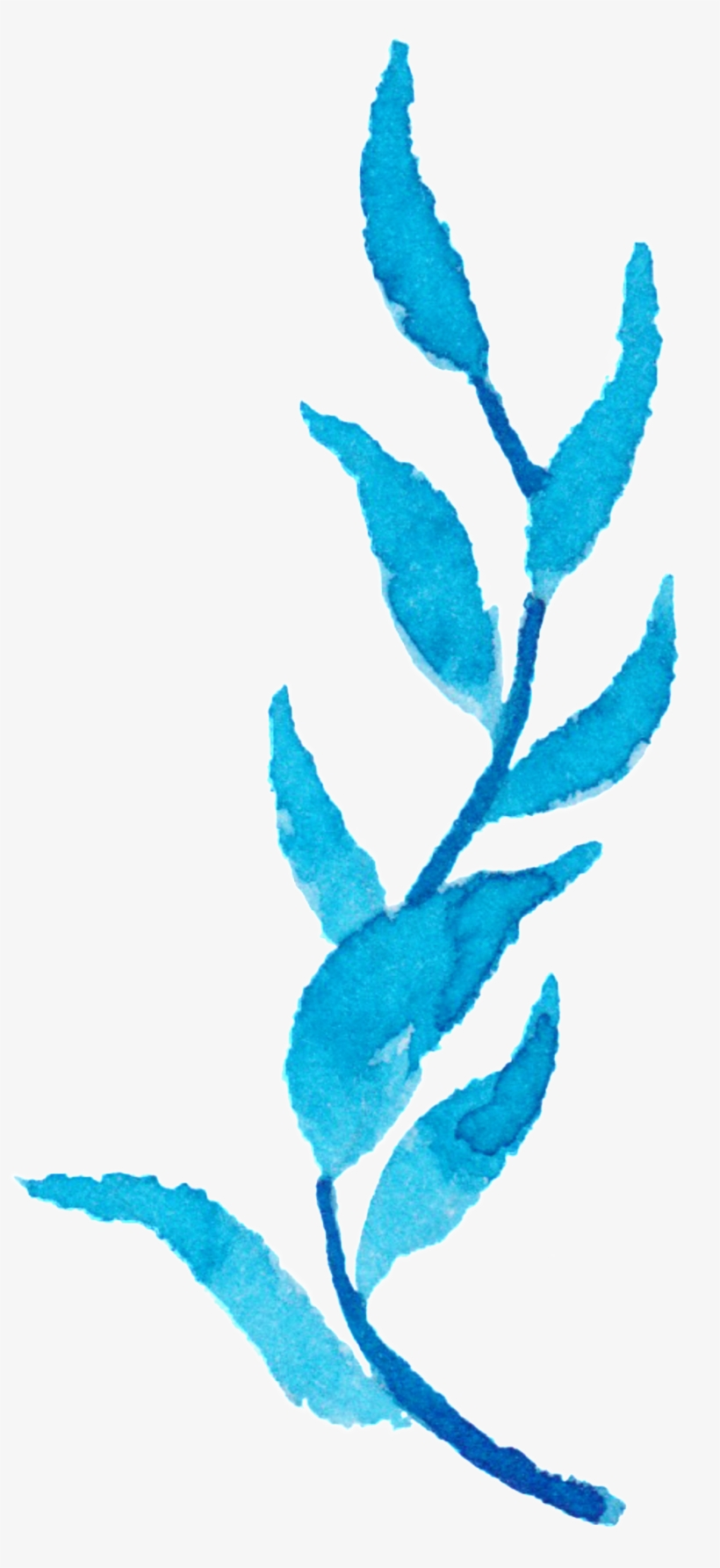 Blue Water Grass Watercolor Hand-painted Flower Decoration - Watercolor Painting, transparent png download