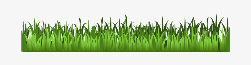 Grass Meadow Green Agriculture Grass Grass Transparent Background Grass Clipart Transparent Png 680x340 Free Download On Nicepng