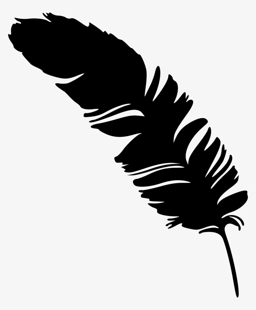 Eagle Feather Vector - Feather Silhouette Transparent PNG - 768x914