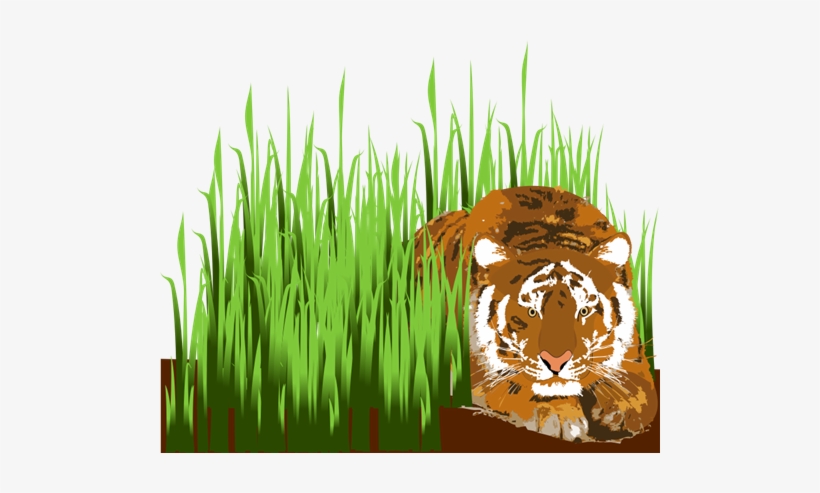 18 Best Photos Of Grass Clip Art - Lion In The Grass Clipart, transparent png download