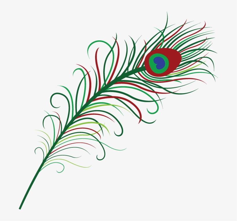 Pluma 689×686 Píxeles - Peacock Feather Clipart Png, transparent png download