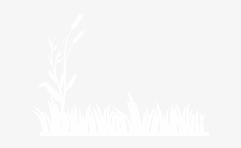 Small - Grass White On Black, transparent png download