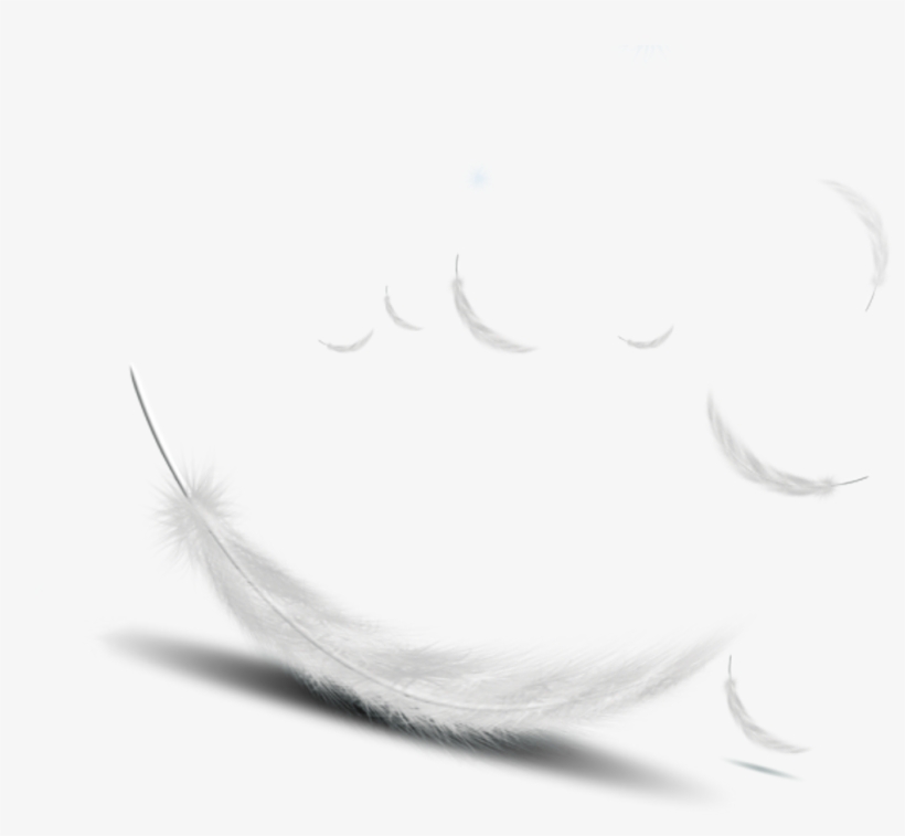Featherwhite Vector - Beefone || Redmi Note4|| Branded Perfect Fitting High, transparent png download