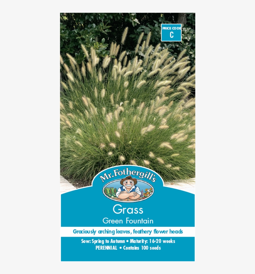 Fountain Grass Png Download - Mr Fgills Vegetable Explorer (gherkin) Cornichon De, transparent png download