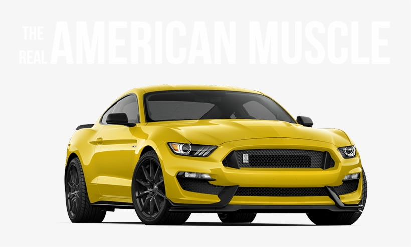 2018 Ford Mustang Near Fergus Falls Mn - 2018 Ford Mustang Shelby Gt350r, transparent png download
