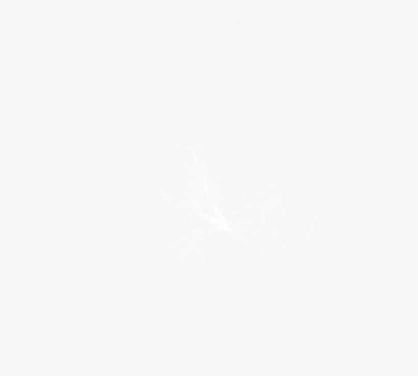 Cumin And Garlic Meatballs In Tomato And Wine Sauce - Unity Logo White Png, transparent png download