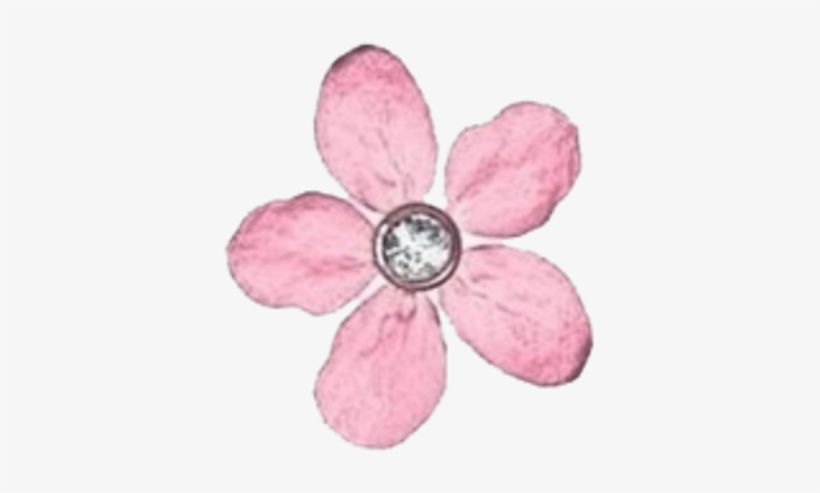 Transparent Overlay Pink Flower, transparent png download