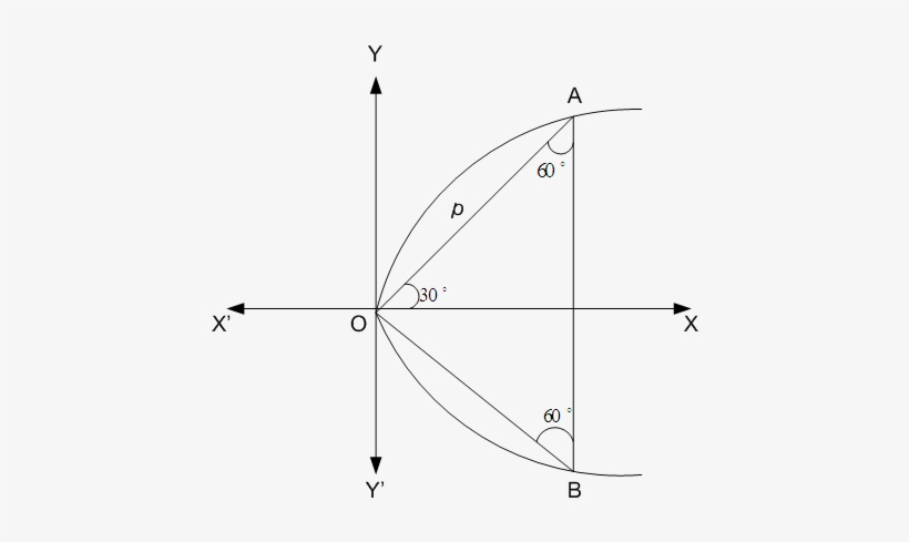 Area Of - Vertex, transparent png download
