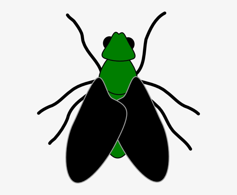 Green Fly Black Clip Art At Clker - Clip Art Of Fly, transparent png download