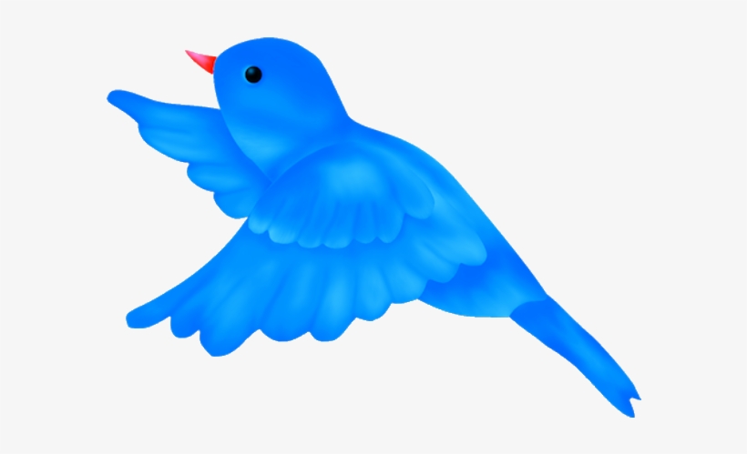 flying bird clipart png