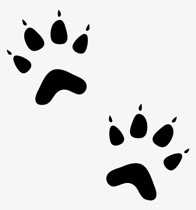 Cat Paw Prints Png, transparent png download