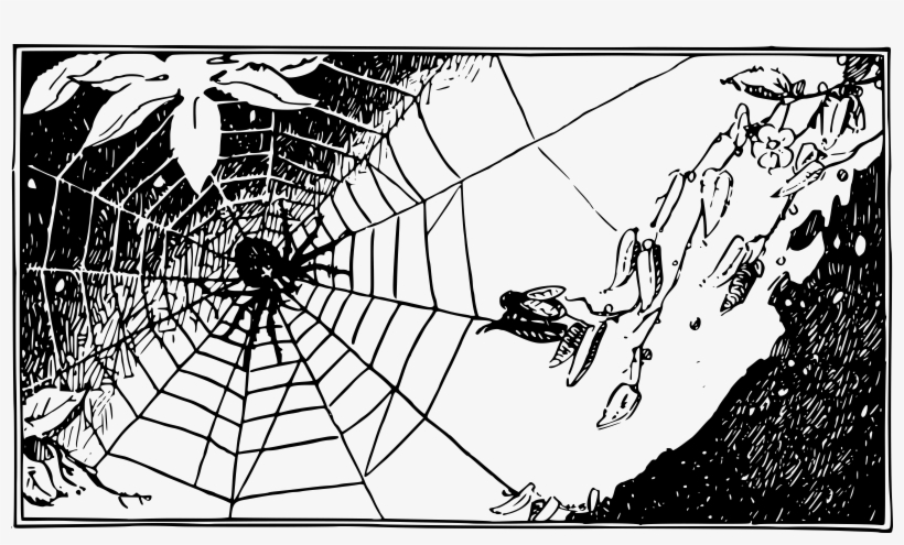 This Free Icons Png Design Of Spider & Web, transparent png download