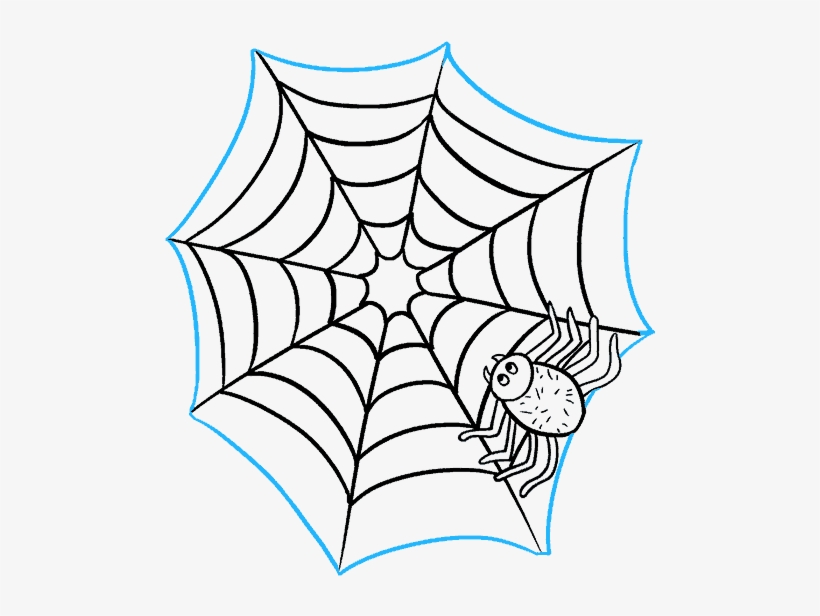 How To Draw Spider Web With Spider - Spider Web, transparent png download