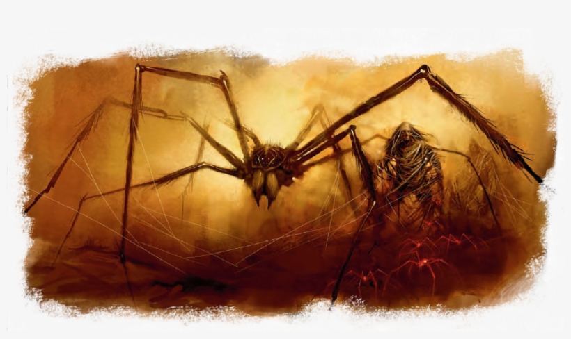 D&d Tomb Spider, transparent png download