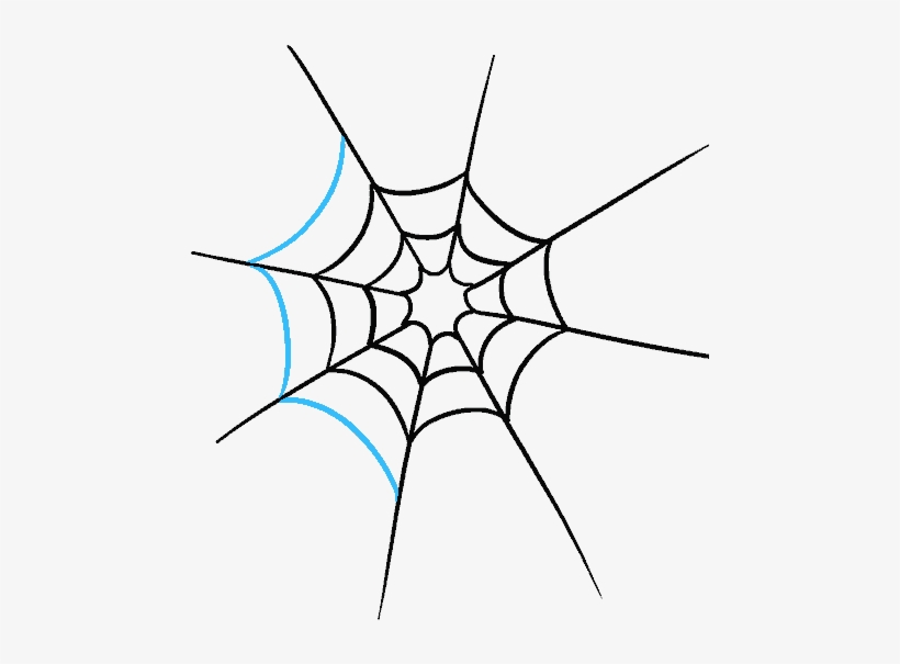 How To Draw Spider Web With Spider - Spider Web, transparent png download