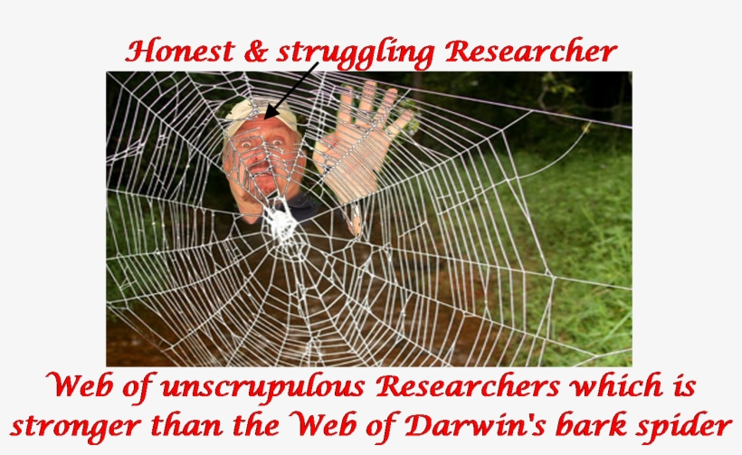 Unscrupulous Researchers Are Liability On The Nation - Promise By Wayne Davis Leeper 9780996316880 (paperback), transparent png download