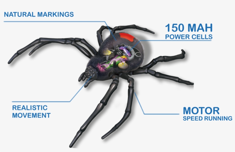 Make This Creepy Crawly The Most Terrifying Pet Enhanced - Робо Паук Черная Вдова Robo Alive Zuru, transparent png download