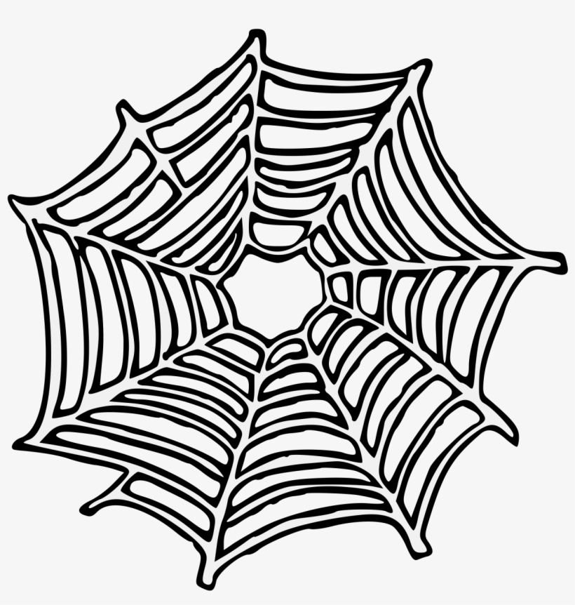 Graphic Royalty Free Download Spider Web Clip Art Animalcarecollege - Clip Art, transparent png download