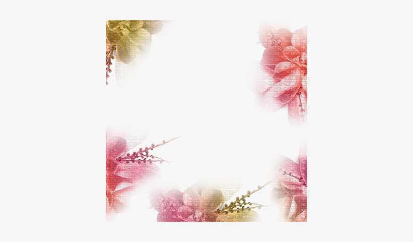 Loly33 Frame Cadre Flower - Summer Flowers Frame Png, transparent png download
