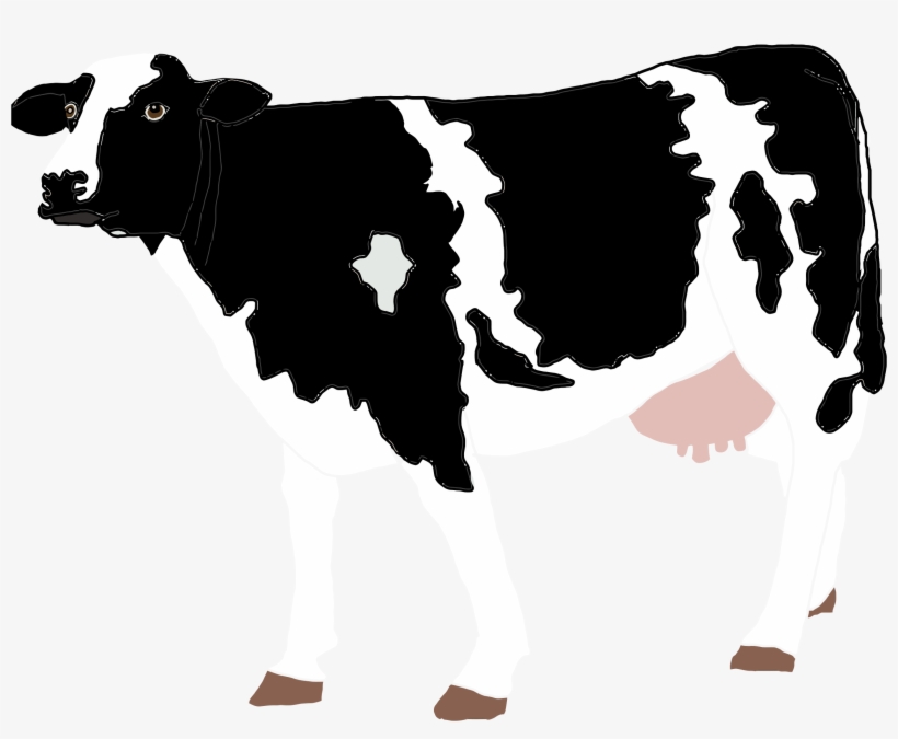 This Free Icons Png Design Of Realistic Cow Illustration, transparent png download