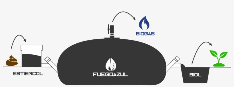 Somos - Illustration, transparent png download