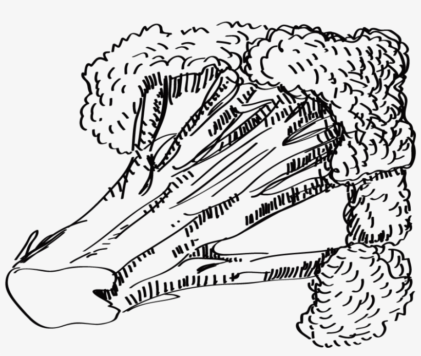 Sushi Cauliflower Pizza Drawing Line Art - Drawing, transparent png download