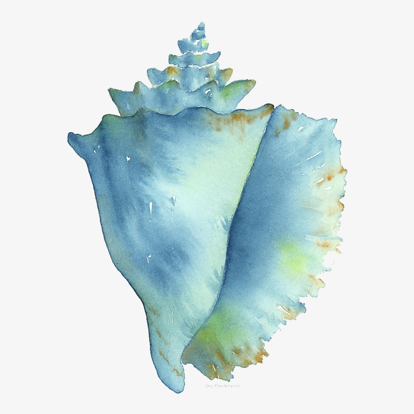 Bleed Area May Not Be Visible - Amy Kirkpatrick Shells, transparent png download