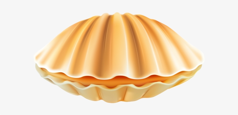 Shell Png Clip Art - Clam Png, transparent png download