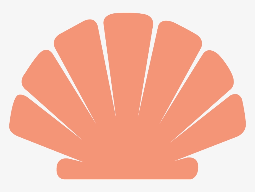 Shell-only - Illustration, transparent png download