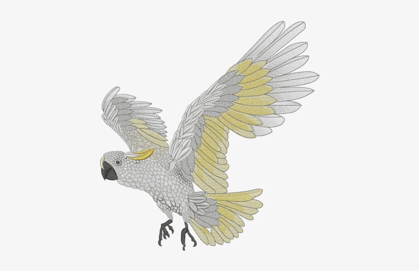 Comparison Of Embroidery Software, transparent png download