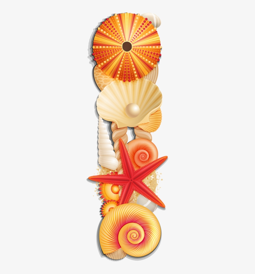 Яндекс - Фотки - Sea Life Urchin 1 Shower Curtain, transparent png download