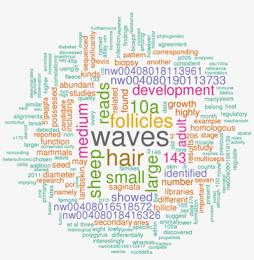 Stem Loop Sequence Oar Let 7i - Oncologic Emergencies, transparent png download