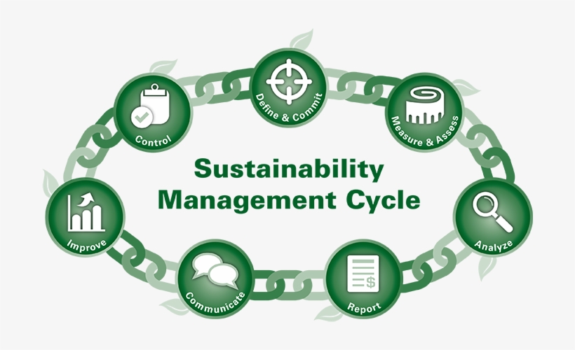 This “supplier Continuous Improvement” Section Of The - Sustainable Supplier, transparent png download