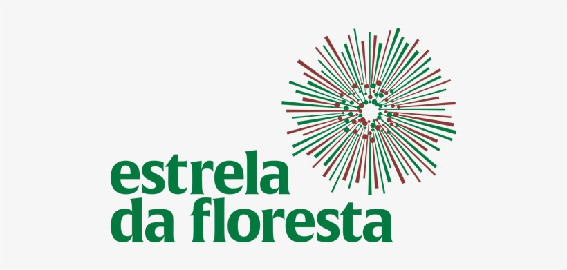 About - Projects - Estrela Da Floresta Angola, transparent png download