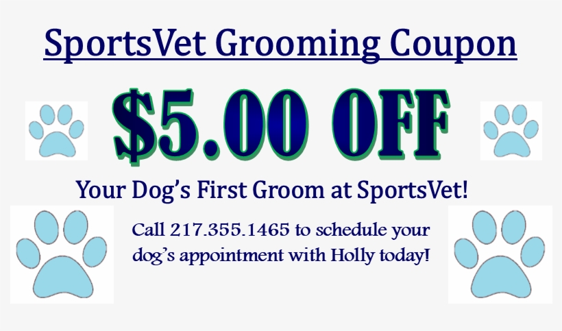 Coupon2 - Sportsvet Animal Medical Center, transparent png download
